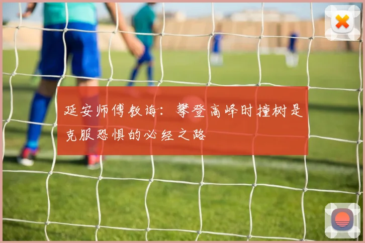 延安师傅教诲：攀登高峰时撞树是克服恐惧的必经之路