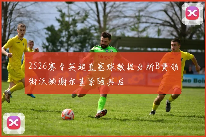 2526赛季英超直塞球数据分析B费领衔沃顿谢尔基紧随其后